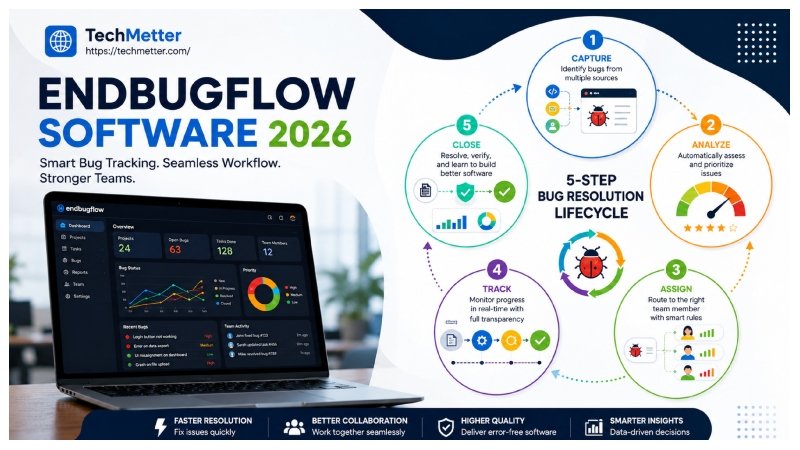 endbugflow software